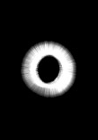 eyelight